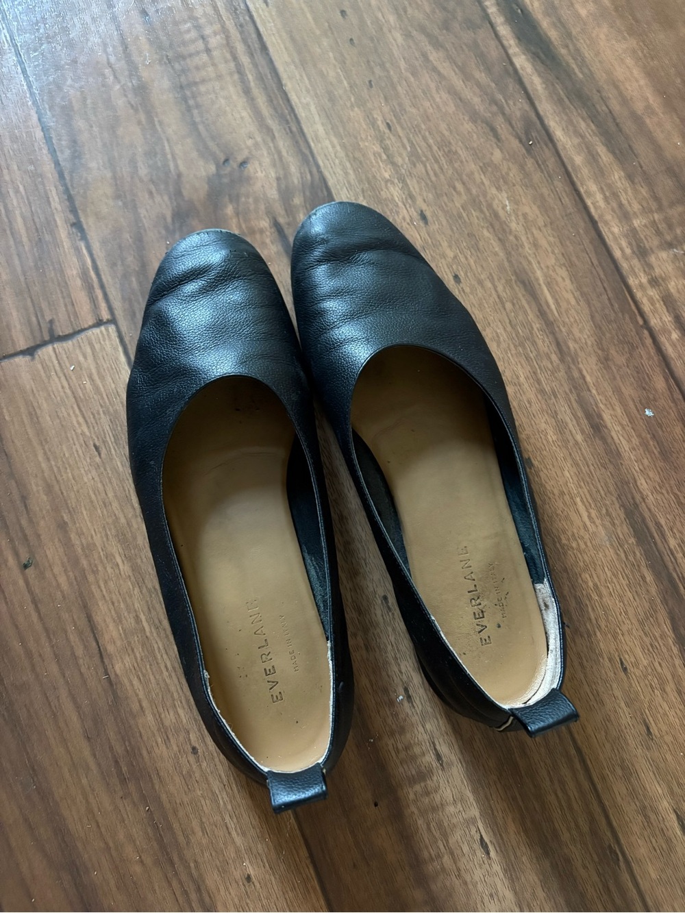 Everlane Black Leather Day Glove - Size 8
